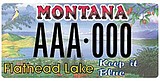 Flathead Lake featured on new plates