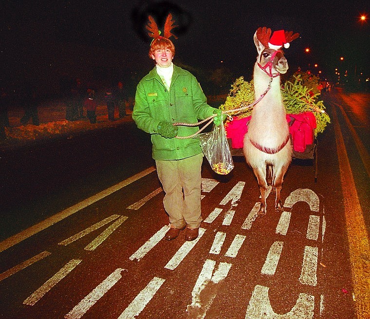 In 2000, Deb Mucklow, district ranger for the Spotted Bear Ranger District, led her llama, Cash, in the Night of Lights parade. The popular holiday parade has been the centerpiece of the Night of Lights celebration for 25 years.