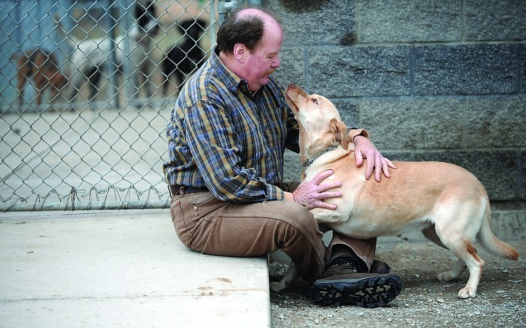 &lt;p&gt;Cliff Bennett, director of the Flathead County Animal Shelter,
sits with Kya, a yellow lab currently available for adoption. The
shelter is overcrowded and running a special on Labs. They are $35
off or two for the price of one.&lt;/p&gt;