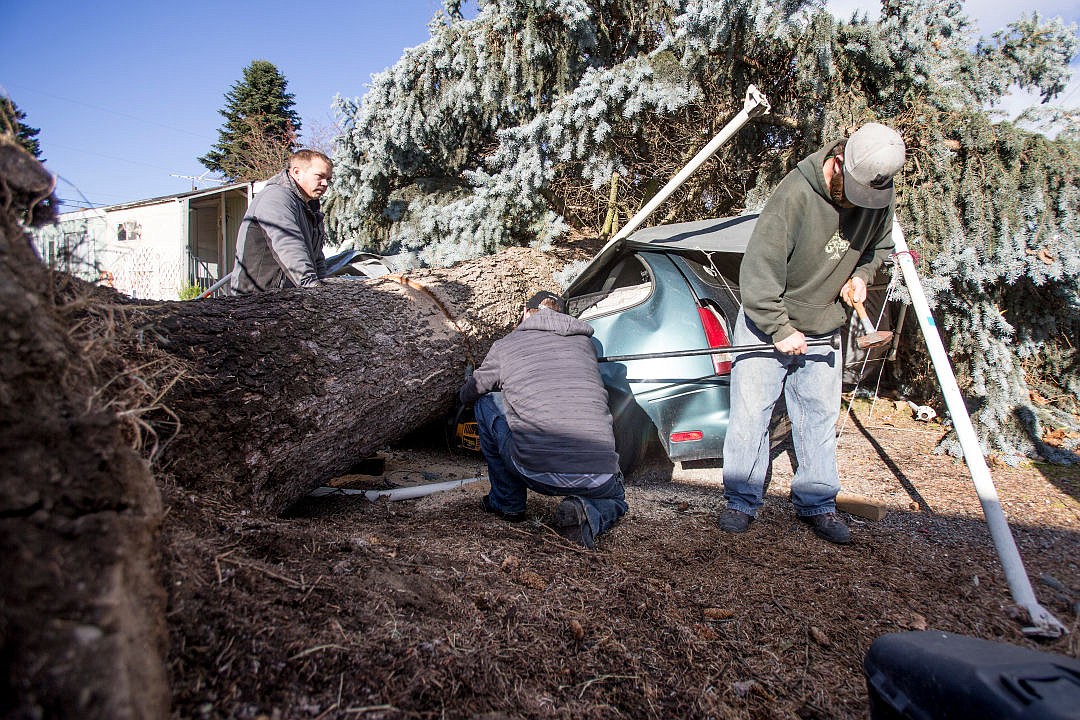 &lt;p&gt;At right, Jared Vaara and Nic Hamilton work to saw the trunk of a fallen tree in half as a minivan lies crushed beneath it Wednesday in the front yard of a home near the intersection of Marie Avenue and Howard Street in Coeur d'Alene. The tree toppled and landed on top of a minivan and sedan during Tuesday's wind storm, where wind speeds clocked at upwards of 67 miles-per-hour.&lt;/p&gt;