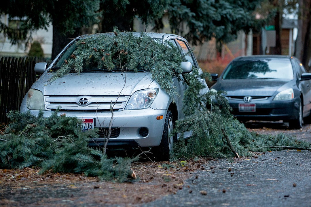 &lt;p&gt;Tree branches rest on top of a car parked on Second Street on Tuesday in Coeur d'Alene. Branches and trees felled by strong winds pose a threat to personal and property safety. A woman in Spokane was killed when she was struck by a falling tree on Tuesday.&lt;/p&gt;