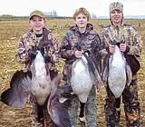 Fresh News From MarDon: Ducks, trout, and perch