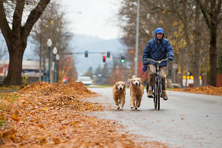 &lt;p&gt;SHAWN GUST/Press Vern Johnson, of Coeur d&#146;Alene, rides alongside his two 10-year-old golden retrievers BoJ and Cody Wendesday on a 1.5 mile run through downtown streets. Johnson says the dogs look forward to making the run daily, sometimes twice.&lt;/p&gt;