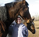 Horses in need of homes