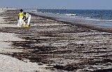Obama rejects drilling in eastern Gulf of Mexico