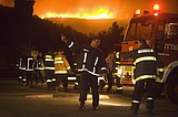 Biggest-ever Israeli forest fire kills 36