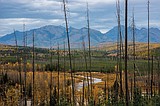 Tester, Walsh, Daines come together on historic lands-use bill