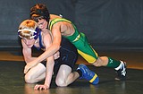 Bulldogs put up fight with Cats