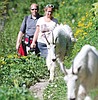 'Fiscal cliff' could impact Park