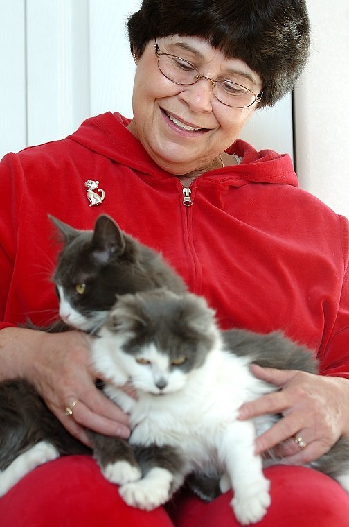 Darcy Albert pets Oscar and Pedra, two kittens she rescued this year.