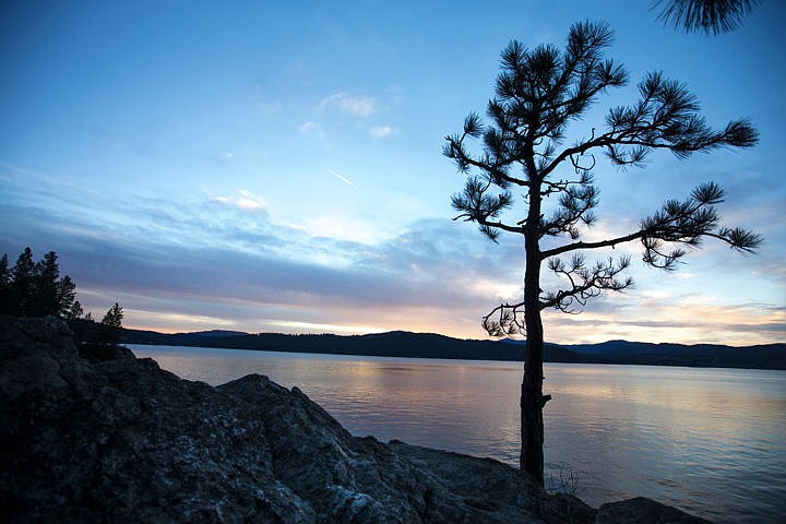 &lt;p&gt;A lone pine tree on Tubbs Hill is silhouetted against the darkening sky as the sun sets over Lake Coeur d'Alene on Tuesday, Nov. 22, 2016.&lt;/p&gt;