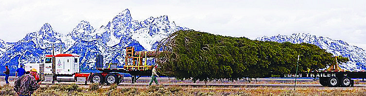 The truck carrying the Capitol Christmas Tree &#151; a 67-foot Engelmann spruce &#151; stops in front of the Tetons in Wyoming.