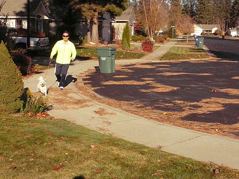 &lt;p&gt;After extensive training in the backyard, Journey was ready to walk in the neighborhood, before advancing to running.&lt;/p&gt;