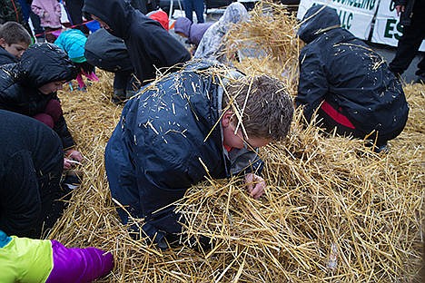 &lt;p&gt;Ethan Neblock, 11, searches for coins in the 11 and 12-year-old division of the dash-for-cash event at the December D&#146;Lights Winter Festival in Rathdrum. Kids, ages one to 12, searched for $300 in coins and toys in two bales of hay.&lt;/p&gt;