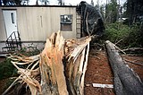 Winds roar across NW Montana