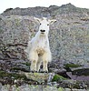 Glacier Park makes top-10 Lonely Planet list