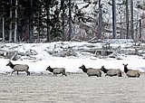 Collaboration shaping land use in Montana