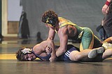 Rice, Benedict post wins for Bulldogs