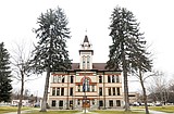 Courthouse trees
