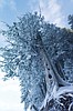 No local records broken in weekend cold snap
