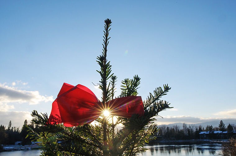 &lt;p&gt;Red bows tied to trees and shrubbery can be seen all around Bigfork. Dec. 4, 2013 in Bigfork, Montana. (Patrick Cote/Daily Inter Lake)&lt;/p&gt;