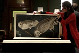 Audobon's 'Birds of America' fetches $10 million at auction