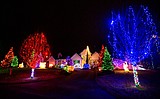 Holiday lights illuminate the night