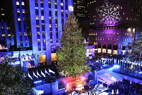 &lt;p&gt;In this Nov. 28, 2012 photo, the Rockefeller Center Christmas tree is lit during the 80th annual tree lighting ceremony at Rockefeller Center in New York. Scientists are working to decipher the DNA code of conifers, like this Norway spruce at Rockefeller Center in New York.&lt;/p&gt;