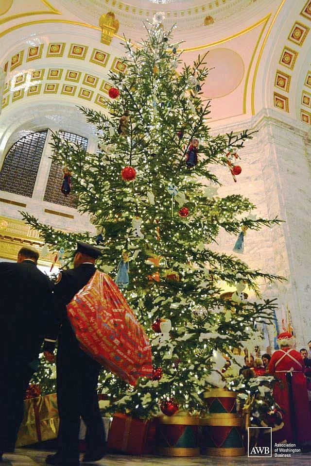 Washington State Christmas Tree shines bright in Olympia