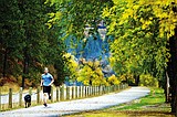 Cd'A Lake Drive master plan pursued