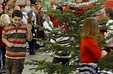 'Christmas Joys'