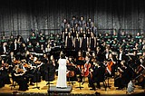 glacier concert.JPG