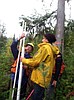 Students track forest management