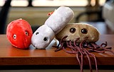 Company's stuffed germ toys catching on