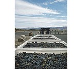 Wahluke Slope receives federal wine recognition