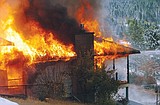 2009: Year in photos