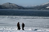 Waiting for the penguins