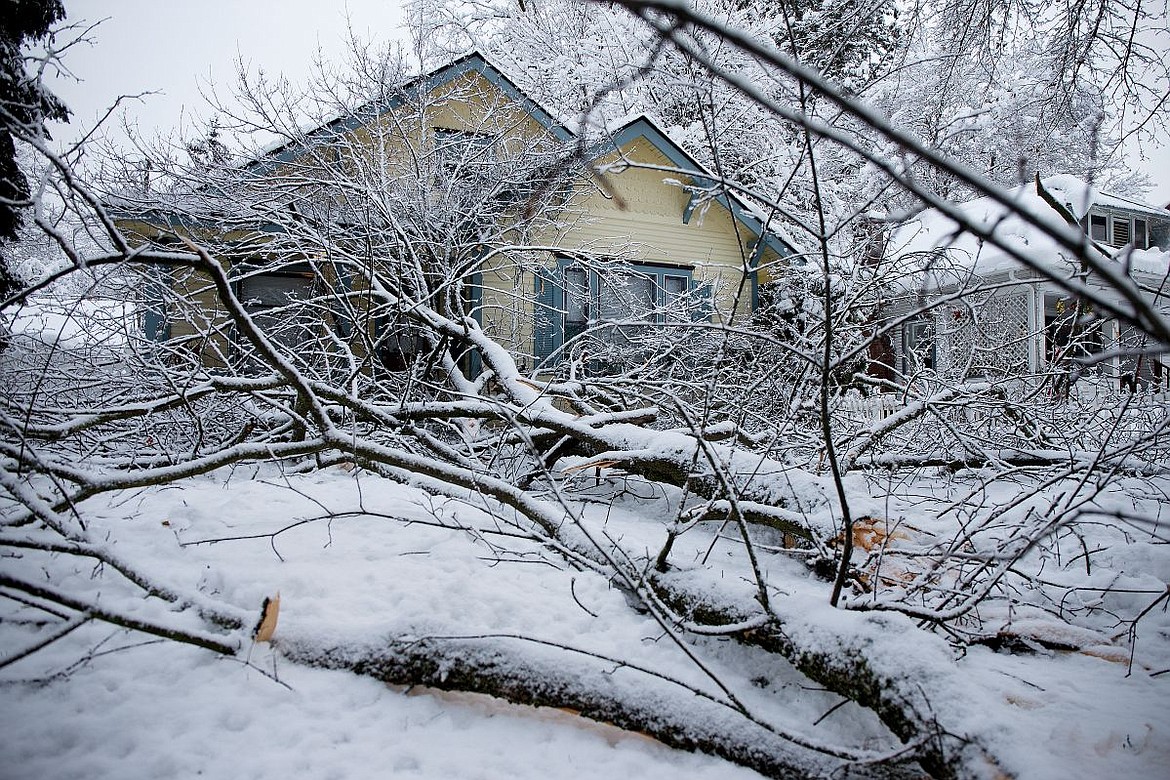&lt;p&gt;A fallen tree, downed due to the weight of snow, sprawls across the front yard and portion of a home on Wednesday at 709 N. Government Way in Coeur d'Alene.&lt;/p&gt;