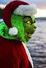 The Grinch: Mean and green on Christmas Day