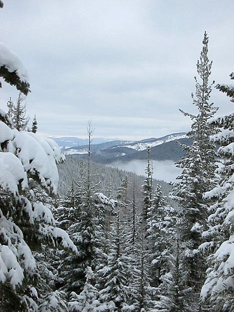 &lt;p&gt;A view from the two-mile trail along looking over the Bitterroot Mountains.&lt;/p&gt;