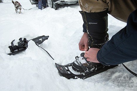 &lt;p&gt;Press writer David Cole straps on his snowshoes which were rented from Outdoor Pursuits at North Idaho College.&lt;/p&gt;