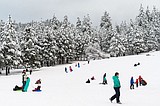 Best sledding locations in Cd'A and Post Falls