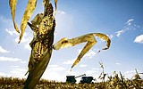 Midwest farmland prices soar due to high demand