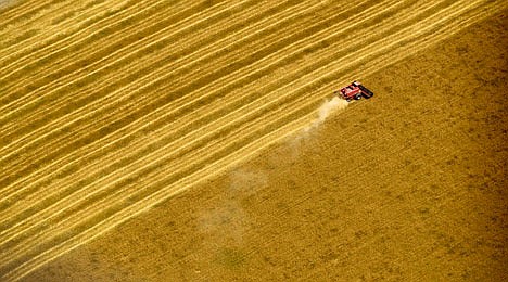 &lt;p&gt;A combine harvests wheat in a field south of Chapman, Kan., in June 2009.&lt;/p&gt;