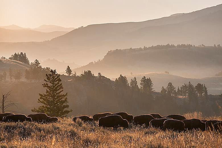 &lt;p&gt;Lamar Valley, Yellowstone where mountain man Osborne Russell spent time trapping, 1834-1842&lt;/p&gt;