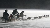 Going beyond 'Balto'