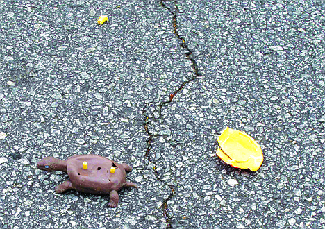 &lt;p&gt;The shattered plastic shell of a fake turtle sits near the turtle's rubber body on a road near Clemson, S.C.&#160;&lt;/p&gt;