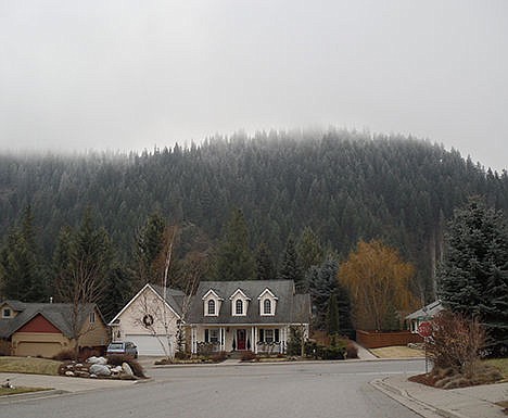 &lt;p&gt;Some of the homes back up to Best Hill, adding to the rural feel of the neighborhood.&lt;/p&gt;