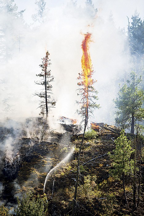 &lt;p&gt;A firefighter sprays water onto a burning tree July 22 as crews from several area agencies responded to a wildland fire near Q'Emiln Park in Post Falls.&lt;/p&gt;