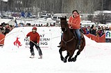 Skijoring in Whitefish